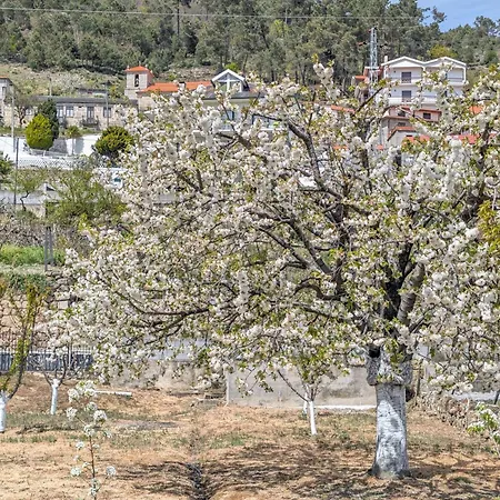 Bela Vista *