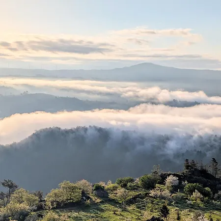 Apartment Bela Vista *