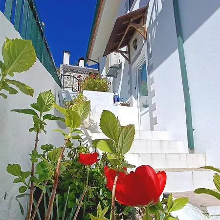 Апартаменты Bela Vista Paradela (Viseu)