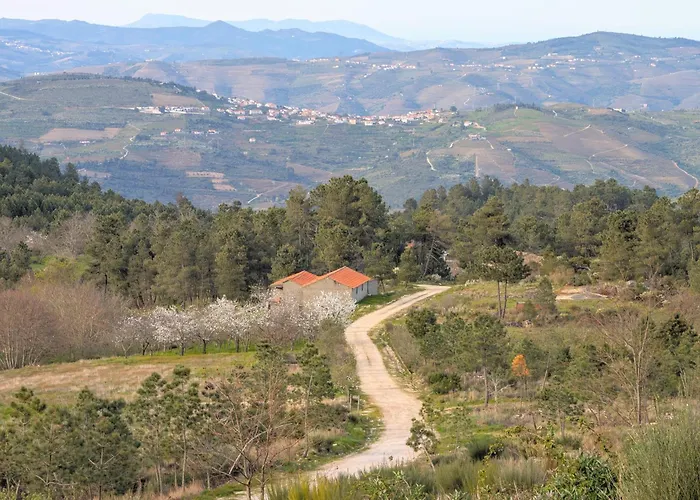 Bela Vista Apartment Paradela (Viseu)