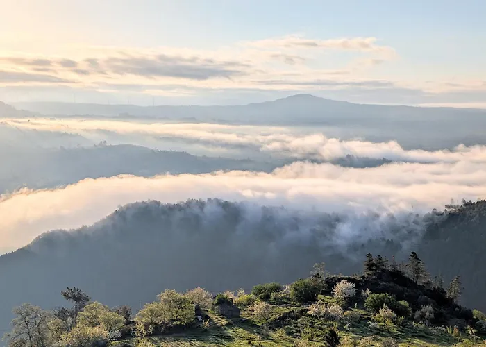 Apartment Bela Vista *