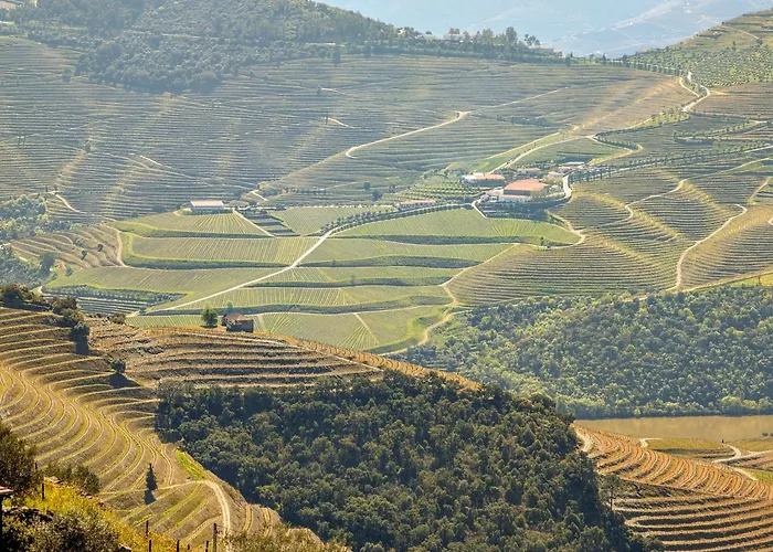 Bela Vista Apartment