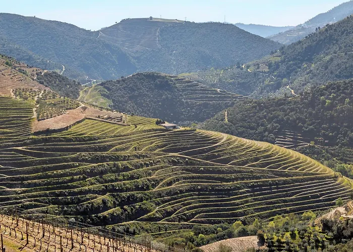 Bela Vista Apartmán Paradela (Viseu)